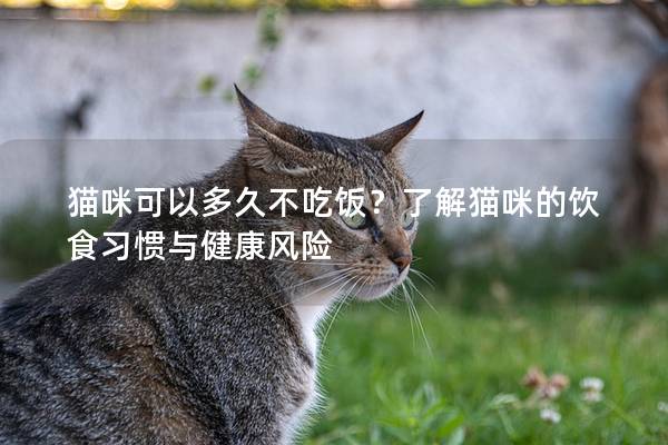 猫咪可以多久不吃饭？了解猫咪的饮食习惯与健康风险