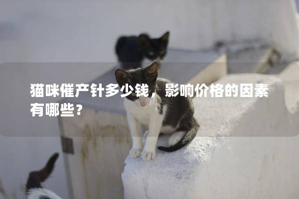 猫咪催产针多少钱，影响价格的因素有哪些？