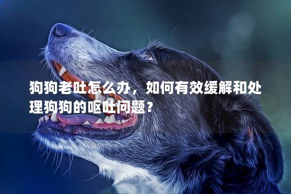 狗狗老吐怎么办，如何有效缓解和处理狗狗的呕吐问题？