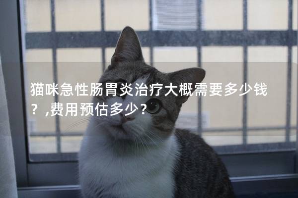 猫咪急性肠胃炎治疗大概需要多少钱？,费用预估多少？