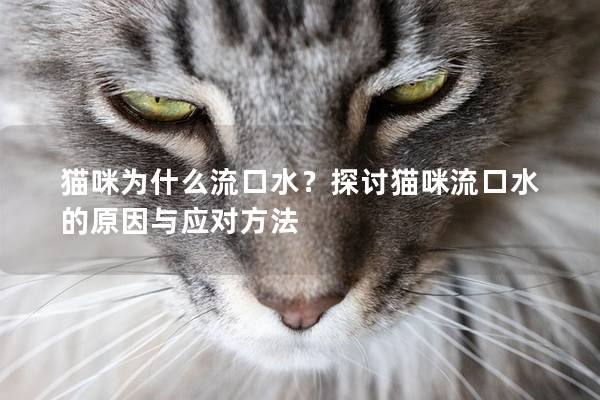 猫咪为什么流口水？探讨猫咪流口水的原因与应对方法