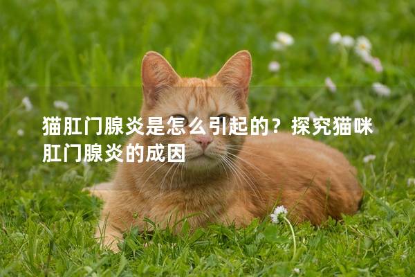 猫肛门腺炎是怎么引起的？探究猫咪肛门腺炎的成因