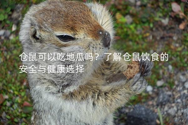 仓鼠可以吃地瓜吗?了解仓鼠饮食的安全与健康选择 仓鼠可以吃地瓜吗?了解仓鼠饮食的安全与健康选择