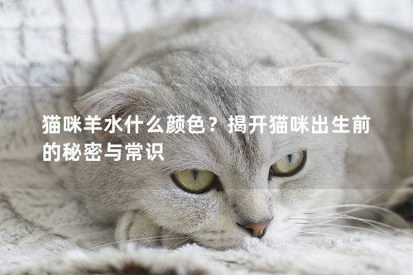 猫咪羊水什么颜色？揭开猫咪出生前的秘密与常识