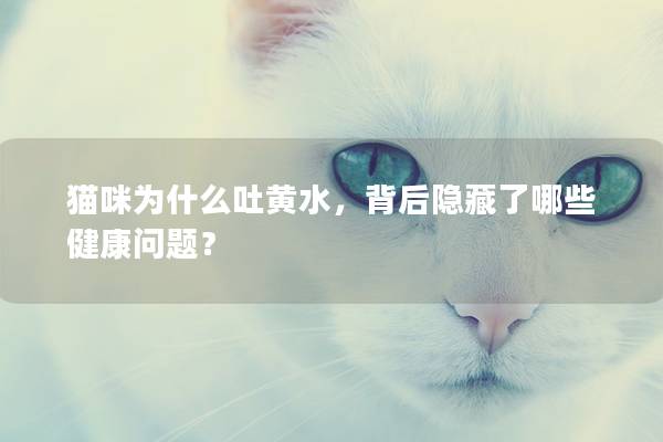 猫咪为什么吐黄水，背后隐藏了哪些健康问题？