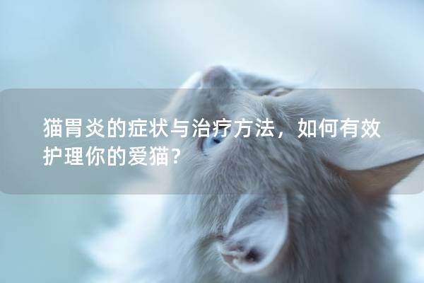 猫胃炎的症状与治疗方法，如何有效护理你的爱猫？