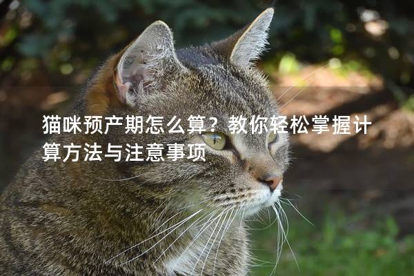 猫咪预产期怎么算？教你轻松掌握计算方法与注意事项