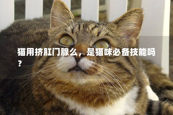 猫用挤肛门腺么，是猫咪必备技能吗？