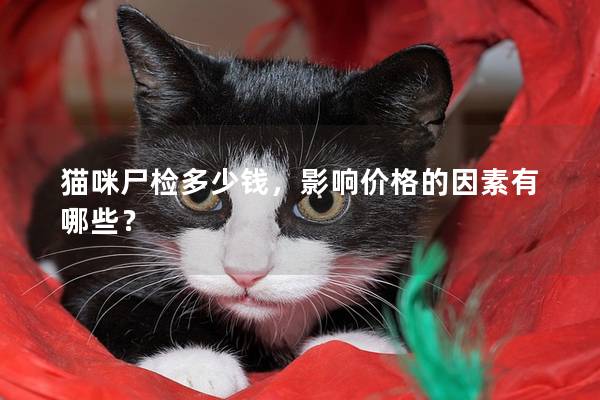 猫咪尸检多少钱，影响价格的因素有哪些？