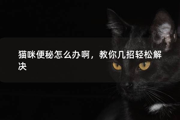 猫咪便秘怎么办啊，教你几招轻松解决