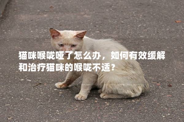 猫咪喉咙哑了怎么办，如何有效缓解和治疗猫咪的喉咙不适？