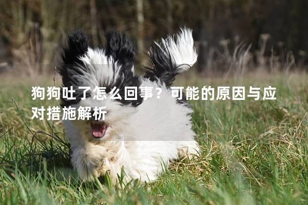 狗狗吐了怎么回事？可能的原因与应对措施解析