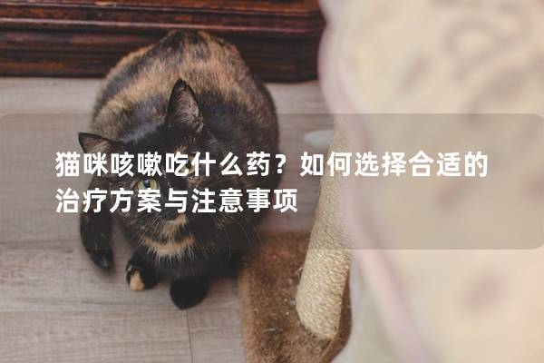 猫咪咳嗽吃什么药？如何选择合适的治疗方案与注意事项