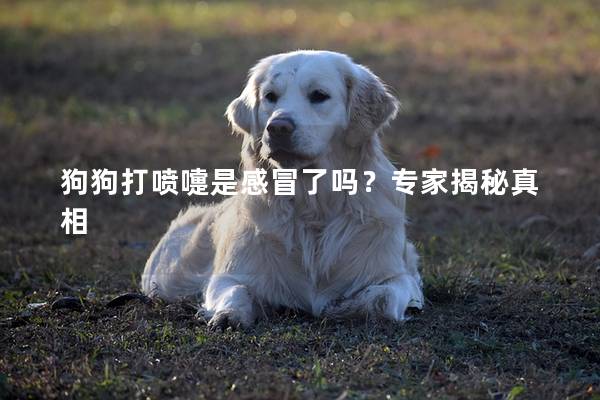 狗狗打喷嚏是感冒了吗？专家揭秘真相