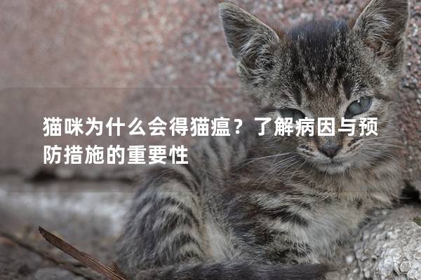 猫咪为什么会得猫瘟？了解病因与预防措施的重要性