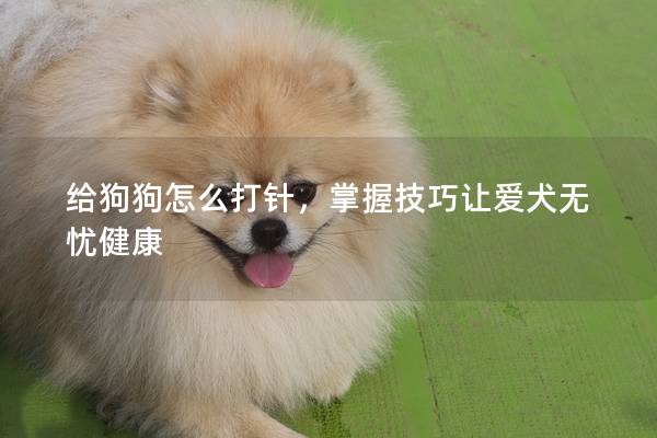 给狗狗怎么打针，掌握技巧让爱犬无忧健康