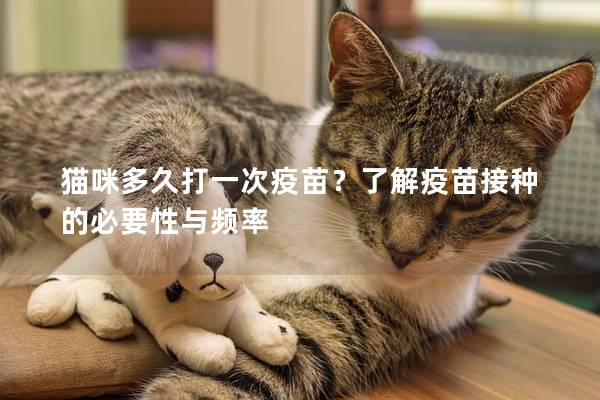 猫咪多久打一次疫苗？了解疫苗接种的必要性与频率