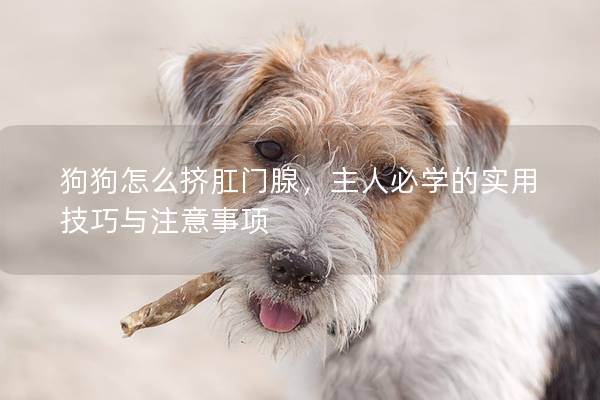 狗狗怎么挤肛门腺，主人必学的实用技巧与注意事项