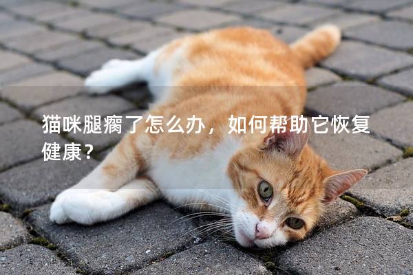 猫咪腿瘸了怎么办，如何帮助它恢复健康？