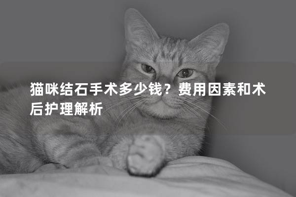 猫咪结石手术多少钱？费用因素和术后护理解析