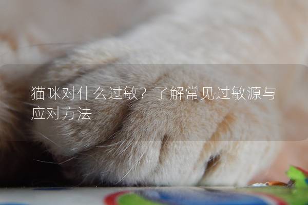 猫咪对什么过敏？了解常见过敏源与应对方法