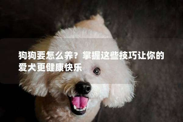 狗狗要怎么养？掌握这些技巧让你的爱犬更健康快乐