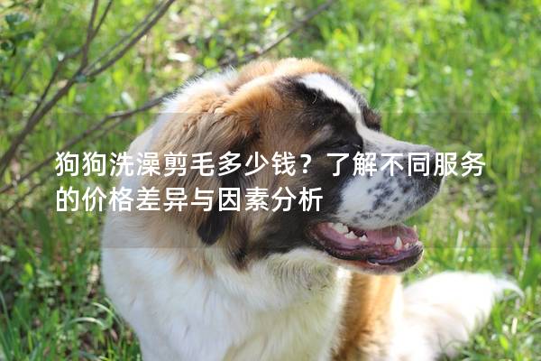 狗狗洗澡剪毛多少钱？了解不同服务的价格差异与因素分析