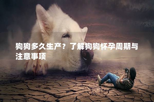 狗狗多久生产？了解狗狗怀孕周期与注意事项