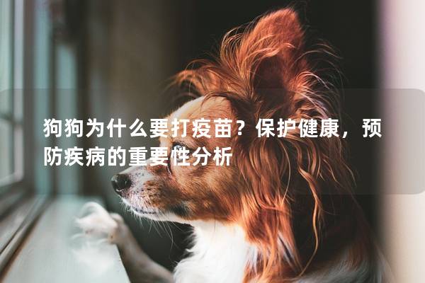 狗狗为什么要打疫苗？保护健康，预防疾病的重要性分析