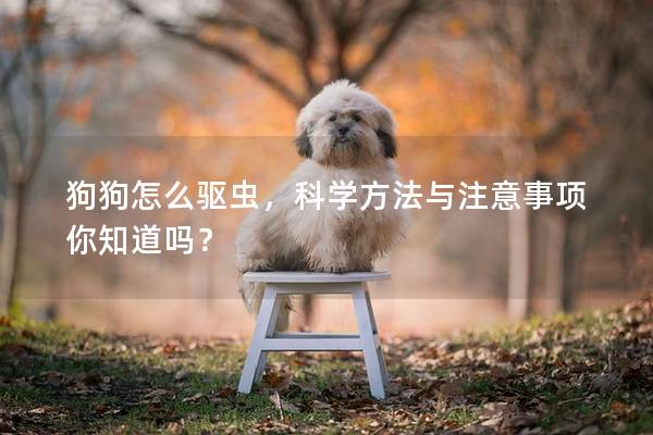 狗狗怎么驱虫，科学方法与注意事项你知道吗？