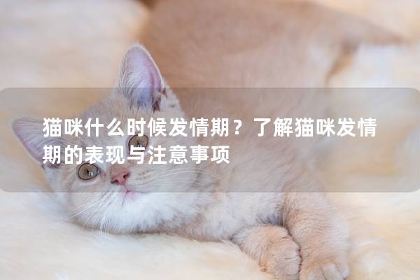 猫咪什么时候发情期？了解猫咪发情期的表现与注意事项