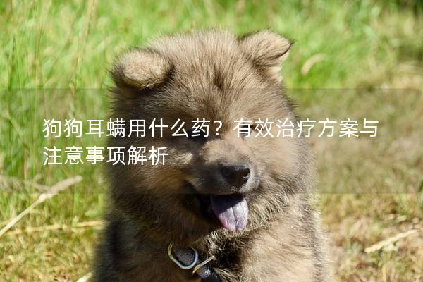 狗狗耳螨用什么药？有效治疗方案与注意事项解析