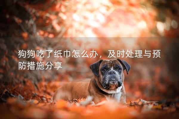 狗狗吃了纸巾怎么办，及时处理与预防措施分享