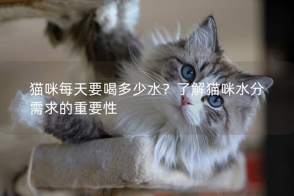 猫咪每天要喝多少水？了解猫咪水分需求的重要性