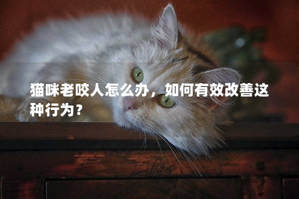 猫咪老咬人怎么办，如何有效改善这种行为？