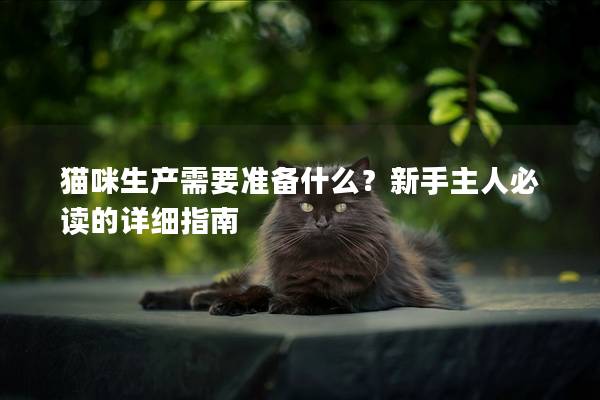 猫咪生产需要准备什么？新手主人必读的详细指南