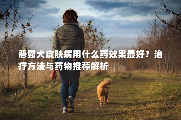 恶霸犬皮肤病用什么药效果最好？治疗方法与药物推荐解析