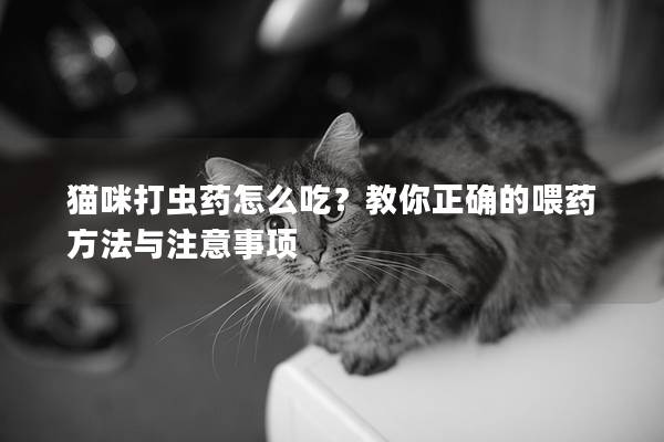 猫咪打虫药怎么吃？教你正确的喂药方法与注意事项