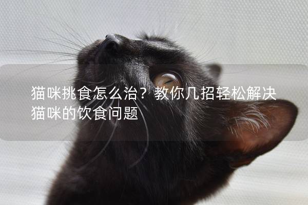 猫咪挑食怎么治？教你几招轻松解决猫咪的饮食问题