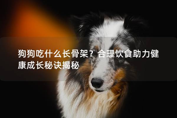 狗狗吃什么长骨架？合理饮食助力健康成长秘诀揭秘