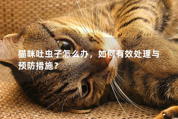 猫咪吐虫子怎么办，如何有效处理与预防措施？