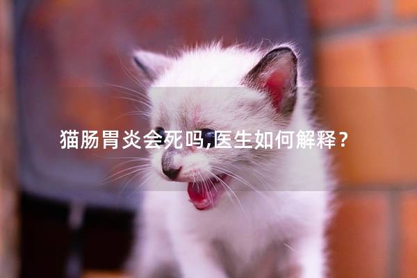 猫肠胃炎会死吗,医生如何解释？