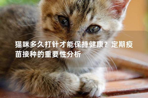 猫咪多久打针才能保持健康？定期疫苗接种的重要性分析