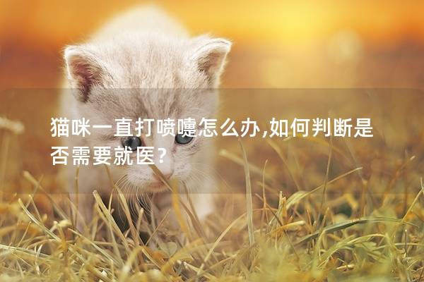 猫咪一直打喷嚏怎么办,如何判断是否需要就医？