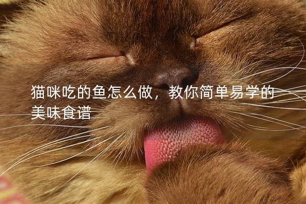 猫咪吃的鱼怎么做，教你简单易学的美味食谱