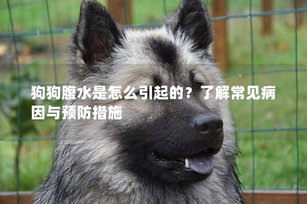 狗狗腹水是怎么引起的？了解常见病因与预防措施