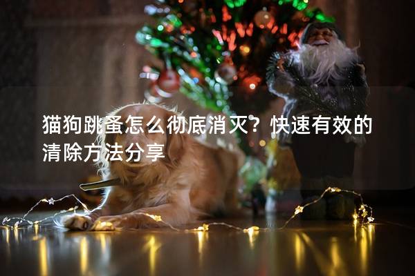 猫狗跳蚤怎么彻底消灭？快速有效的清除方法分享