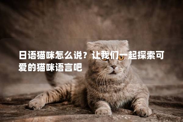 日语猫咪怎么说？让我们一起探索可爱的猫咪语言吧