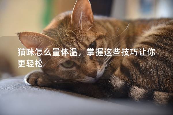 猫咪怎么量体温，掌握这些技巧让你更轻松