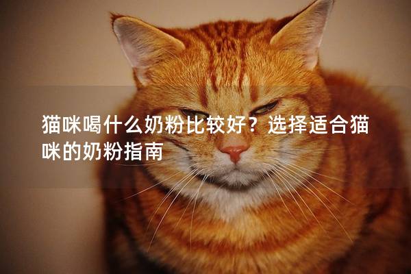 猫咪喝什么奶粉比较好？选择适合猫咪的奶粉指南